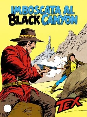 Tex N.318 - Imboscata al black canyon