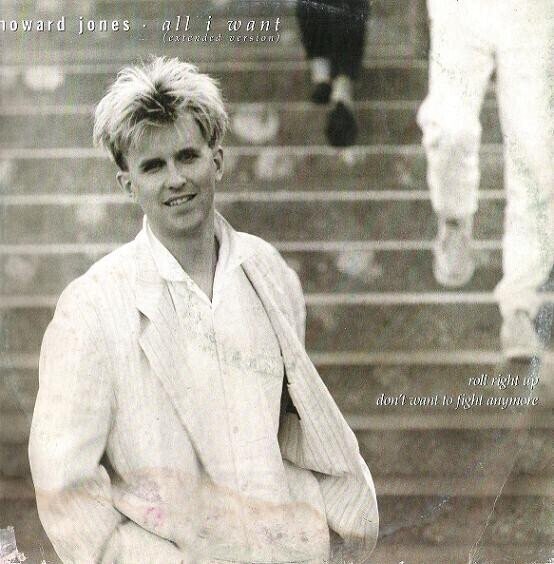 Howard Jones ‎– All I Want (Extended Version) - Vinyl, 12", 45 RPM - Italy