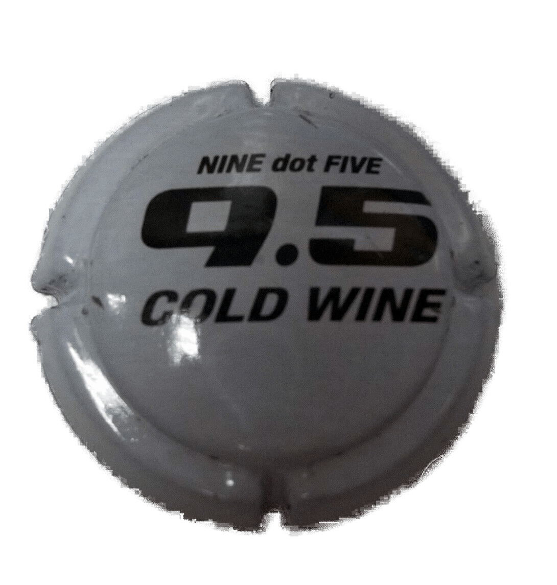 Caspula spumante - Astoria Nine dot Five - 9.5 - Cold Wine -italia da   (catalogo)  Usata