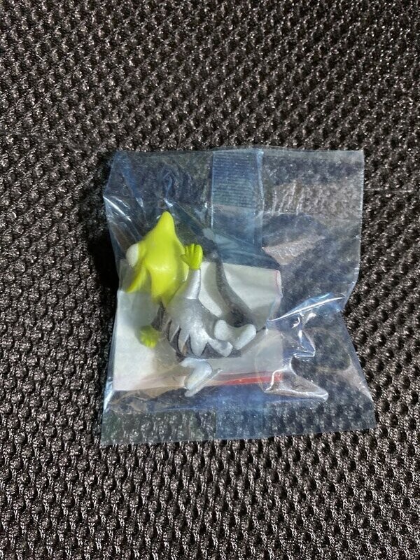 FINDUS GADGET - CARLETTO SPORT TEAM - CARLETTO PATTINATORE