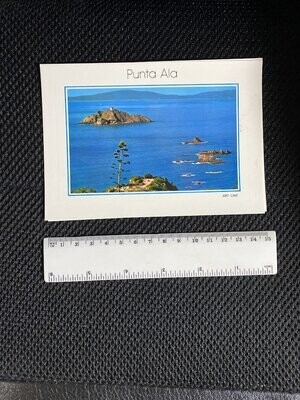 Cartolina Formato Grande-Punta Ala(GR)Isola dello Sparviero non viaggiata-colori