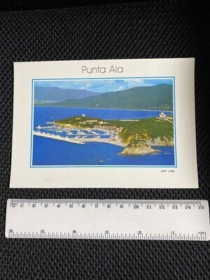 Cartolina Formato Grande-Punta Ala(GR) Panorama non viaggiata-colori