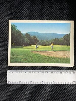 Cartolina Formato Grande - Punta Ala (GR) campi da Golf-non viaggiata - colori