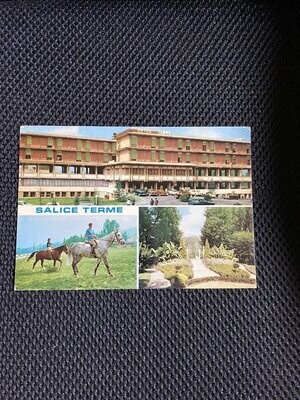 Cartolina Formato Grande Salice Terme (PV) Viaggiata 1972-colori