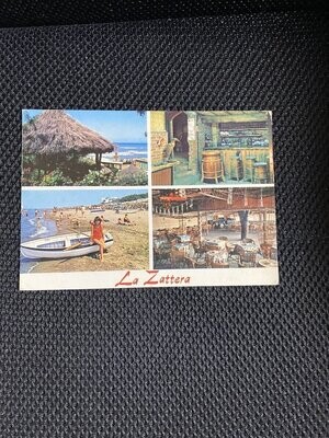 Cartolina Formato Grande Donaratico (LI) La zattera Viaggiata 1974-colori