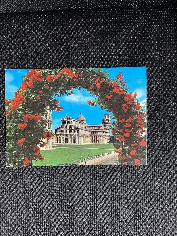 Cartolina Formato Grande Pisa (PI) Piazza dei miracoli con fiorni Non Viaggiata