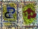 Calciatori 1998-99 - Sticker 677 Pisa-Pontedera