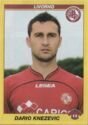 Calciatori 2009-10 - Sticker no. 273 Dario Knezevic