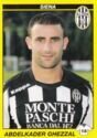 Calciatori 2009-10 - Sticker no. 453 Abdelkader Ghezzal