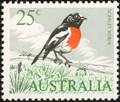 Francobollo - Australia - Scarlet Robin (Petroica multicolor) - 25 C - 1966 -Usato