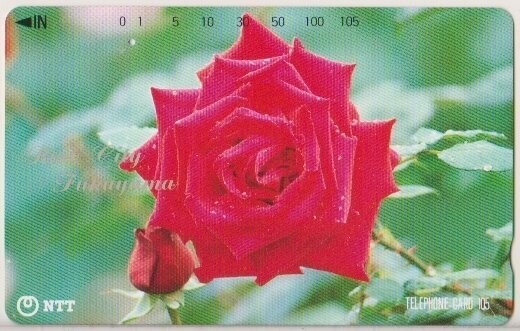carte telefoniche - Rose City Fukuyama -Giappone 105 U NTT -Usata
