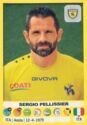 Calciatori 2018-19 - Sticker no. 112 Sergio Pellissier