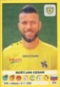 Calciatori 2018-19 - Sticker no. 91 Bostjan Cesar