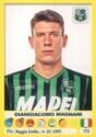 Calciatori 2018-19 - Sticker no. 457 Giangiacomo Magnani
