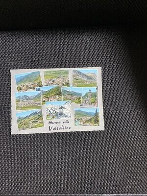 Cartolina Formato Grande Ricordo della Valtellina (SO) Viaggiata-colori