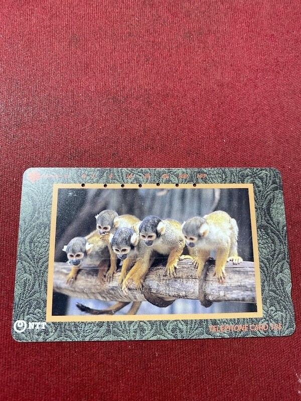 carte telefoniche - Cuccioli di scimmia baby monkeys -Giappone 105 U NTT -Usata