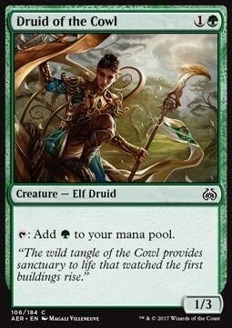 Carta MTG-Druida della Cappa-Aether Revolt-ITA-NM-C