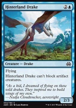 Carta MTG-Draghetto dell'Entroterra-Aether Revolt-ITA-NM-C