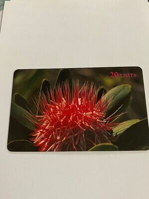 carta telefonica 20 Units Delta Card (fake) Botanica Fiori 3/16