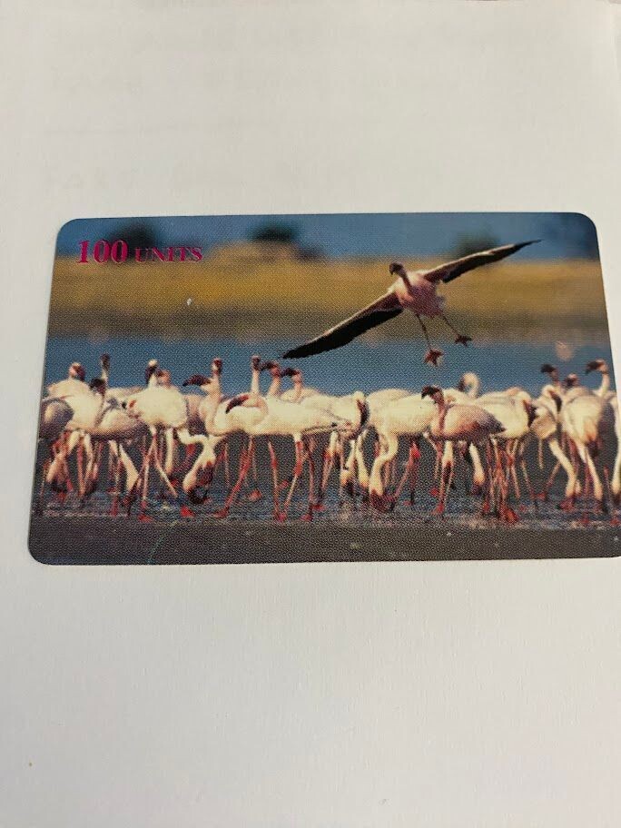 carta telefonica 100 Units Delta Card (fake) Animali Fenicottero 26/40