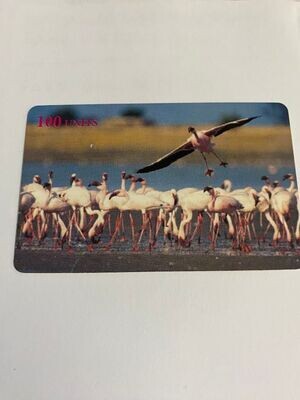 carta telefonica 100 Units Delta Card (fake) Animali Fenicottero 26/40