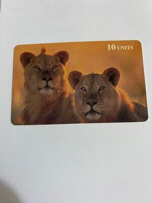 carta telefonica 10 Units Delta Card (fake) Animali Leoni 2/40