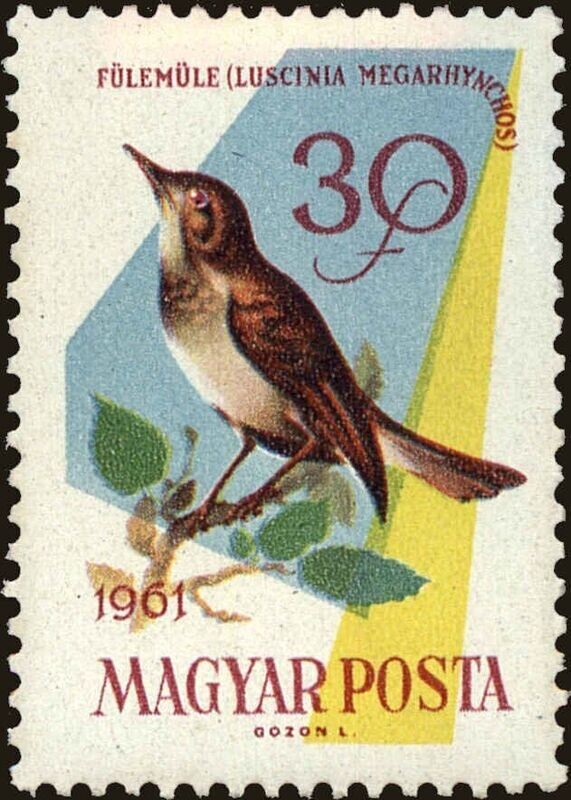 Francobollo - Ungheria - Uccelli - 30 F - 1961 - Usato