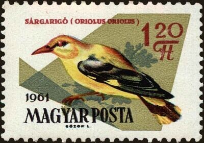 Francobollo - Ungheria - Uccelli - 1,20 Ft - 1961 -Usato