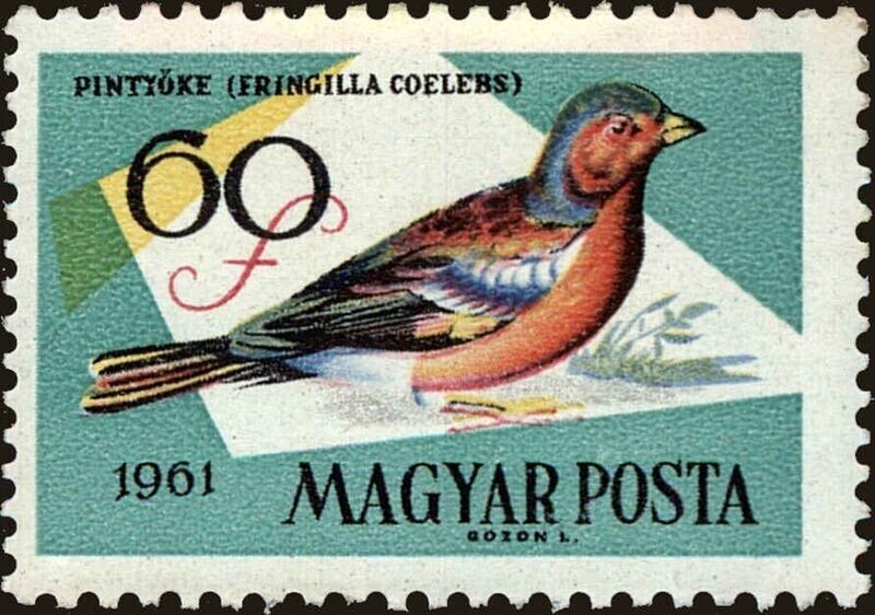 Francobollo - Ungheria - Uccelli - 60 F - 1961 -Usato