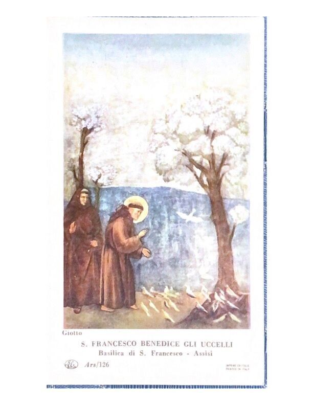 Santino da collezione  - San Francesco benedice gli Uccelli-Usato