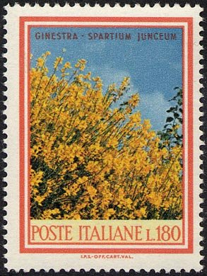 Francobollo Usato Rep. Italiana 1968 FLORA: 3^ EMISSIONE 180 Lire Ginestre