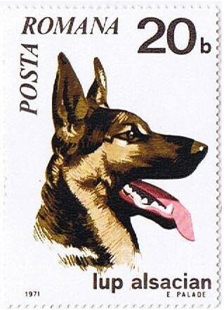 Francobollo Nuovo con annullo di favore Romania 1971 Cani 1971 20 B
