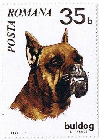Francobollo Nuovo con annullo di favore Romania 1971 Cani 1971 35 B