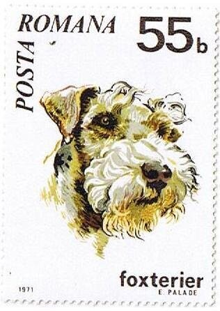 Francobollo Nuovo con annullo di favore Romania 1971 Cani 1971 55 B