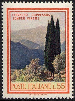 Francobollo Usato Rep. Italiana 1968 FLORA: 3^ EMISSIONE 55 Lire Cipresso
