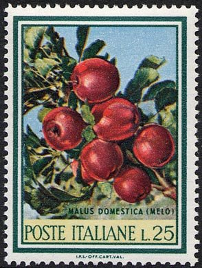Francobollo Usato Rep. Italiana 1967 FLORA: 2^ EMISSIONE 25 Lire Melo
