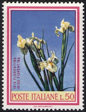 Francobollo Usato Rep. Italiana 1967 FLORA: 2^ EMISSIONE 50 Lire Iris