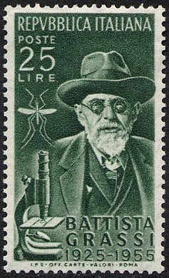 Francobollo Usato Rep. Italiana 1955 30^ ANNIVERSARIO DELLA MORTE DI GIOVANNI BATTISTA GRASSI 25 Lire
