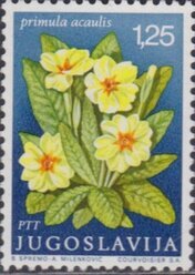 Francobollo Usato Jugoslavia 1969 Primrose (Primula vulgaris) 1,25 Din
