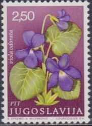 Francobollo Usato Jugoslavia 1969 Wood Violet (Viola odorata) 2,50 Din