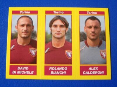 Calciatori 2009-10 - Sticker no. 642 a-b-c Di Michele-Bianchi-Calderoni
