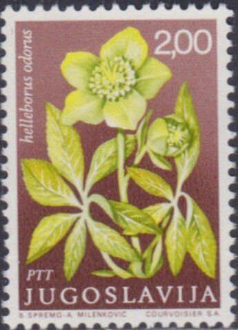 Francobollo Usato Jugoslavia 1969 Helleborus odorus 2,00 Din