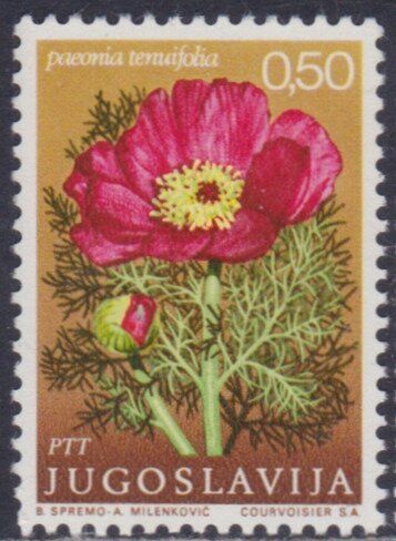 Francobollo Usato Jugoslavia 1969 Paeonia tenuifolia 0,50 Din
