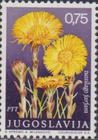 Francobollo Usato Jugoslavia 1969 Coltsfoot (Tussilago farfara) 0,75 Din