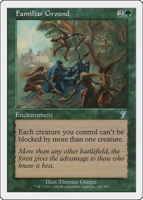 Carta MTG-Terreno Familiare-Settima Edizione-N.265-ITA-LP-