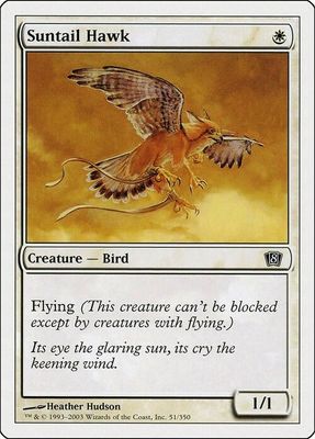 Carta MTG-Falco Astrocoda-Ottava Edizione-N.051-ITA-EX-
