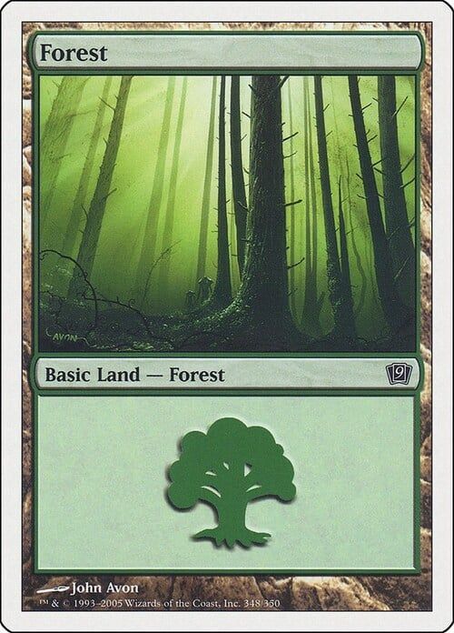 Carta MTG-Foresta (V.2)-Nona Edizione-N.348-ITA-LP-