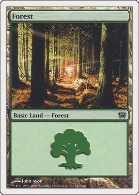 Carta MTG-Foresta (V.1)-Nona Edizione-N.256-RUSSO-EX-