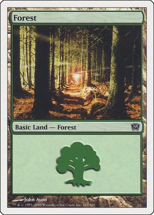Carta MTG-Foresta (V.1)-Nona Edizione-N.256-RUSSO-EX-
