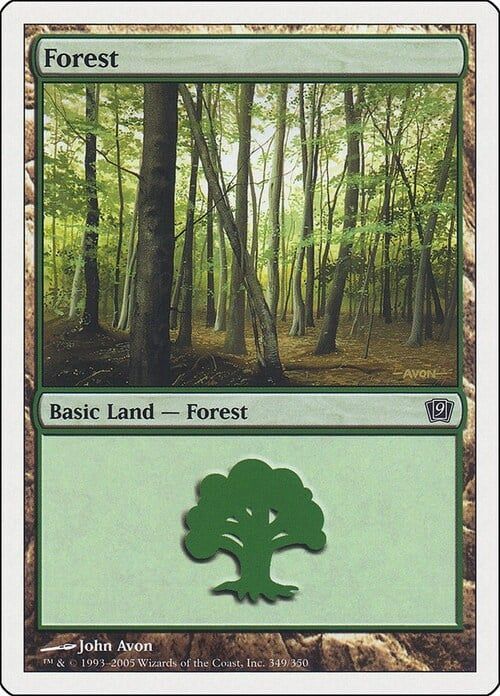 Carta MTG-Foresta (V.3)-Nona Edizione-N.348-ITA-Good-